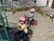 新たんぽぽ組だより☆彡